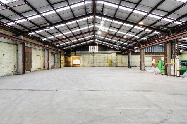 30 Bauchop Street Dunedin Central_3