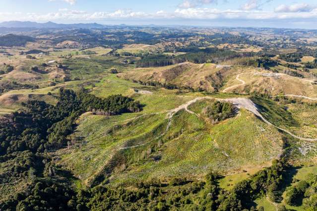 Arcadia Road Paparoa_1