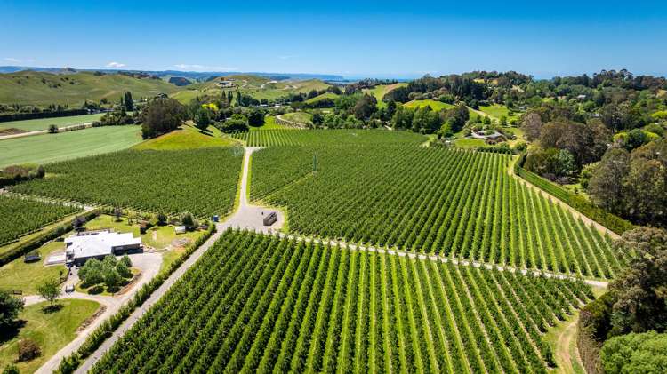 490 Puketitiri Road, Puketapu Napier South_4