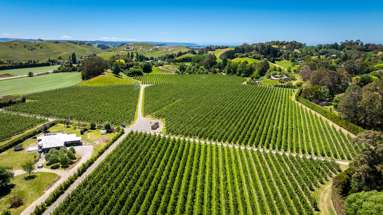 490 Puketitiri Road, Puketapu_4