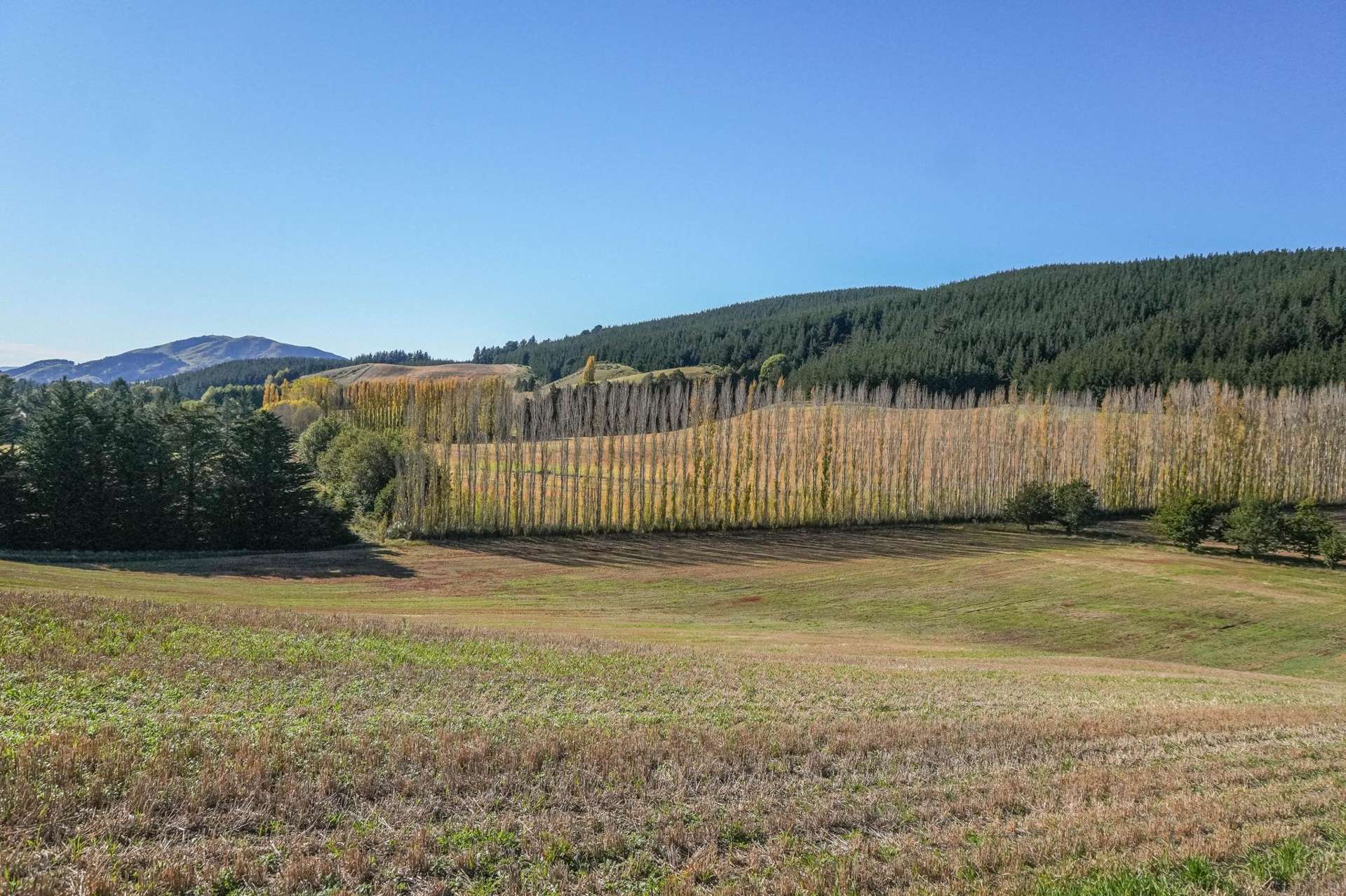 624 Greta Road Greta Valley_0