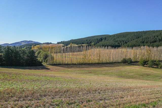 Finishing, Breeding or Cropping - You Decide