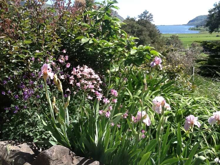 32 Breitmeyers Road Little River_26