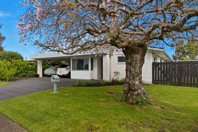135 Te Hono Street Maungatapu_4