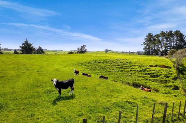 838 Mangorei Road Mangorei_3