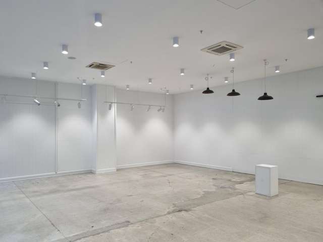 154 Featherston Street Wellington Central_1