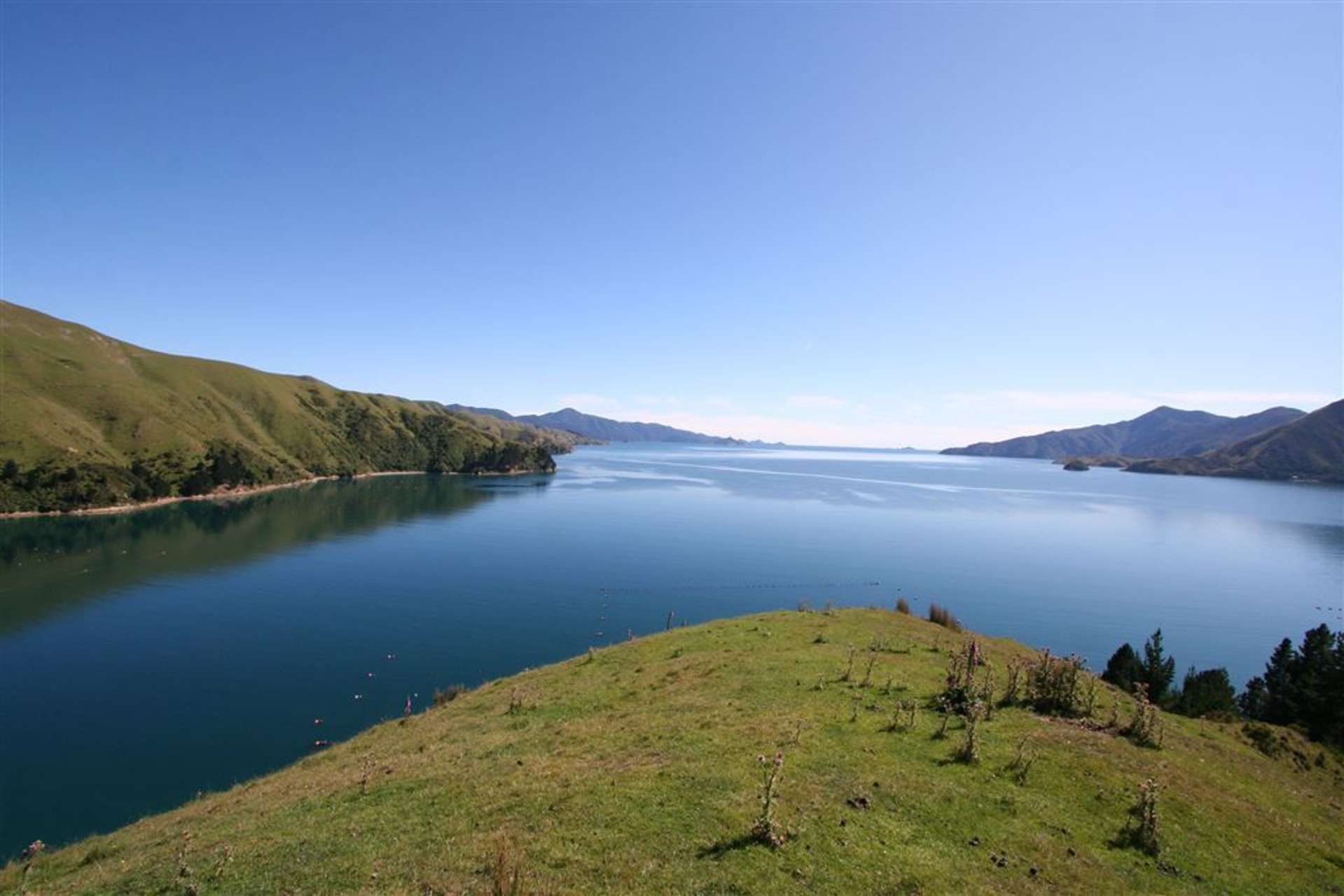 Admiralty Bay Marlborough Sounds_0