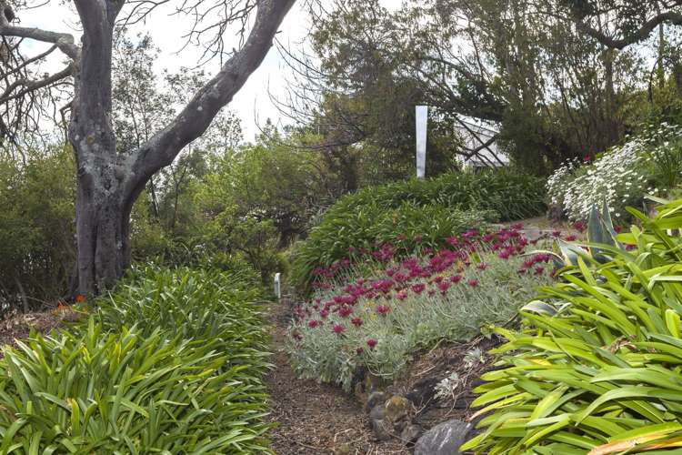 15 Balmoral Lane Redcliffs_7