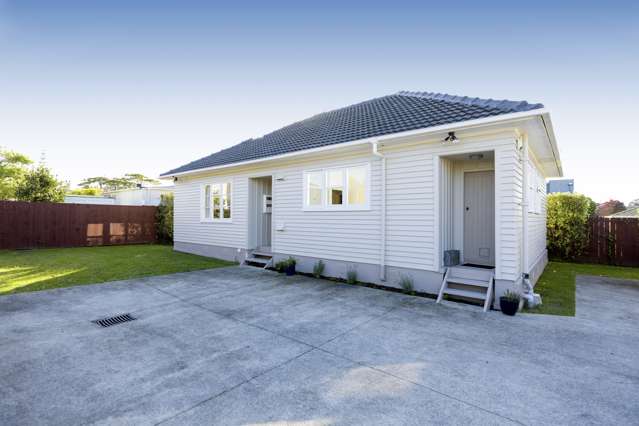 24 Tasman Avenue Mount Albert_1