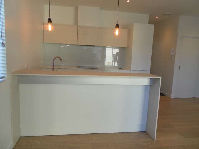 201/17 Saint Benedicts Street Eden Terrace_2