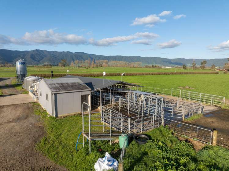 416 Wardville Road Matamata_8