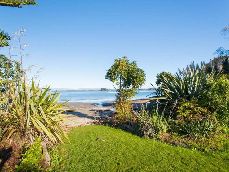 388 Riwaka-Kaiteriteri Road Kaiteriteri_16