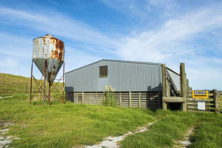 Parahi Road Ruawai_7