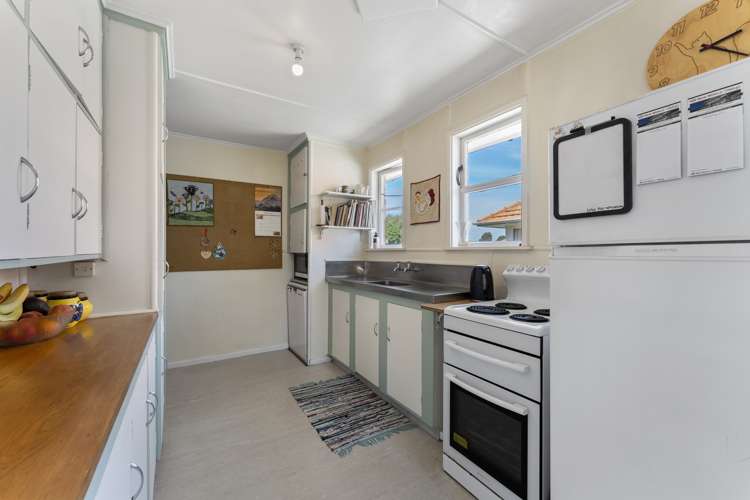 33 Andrew Avenue Roslyn_5