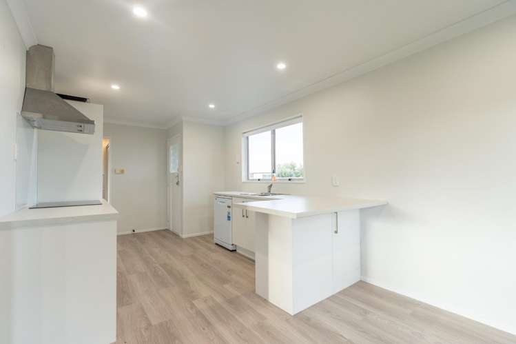 21 Carter Crescent Awapuni_5