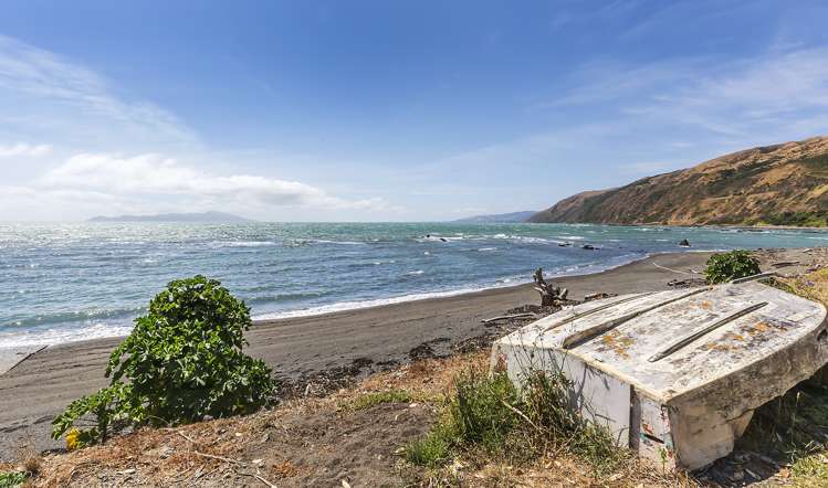 8 Ocean Parade Pukerua Bay_15