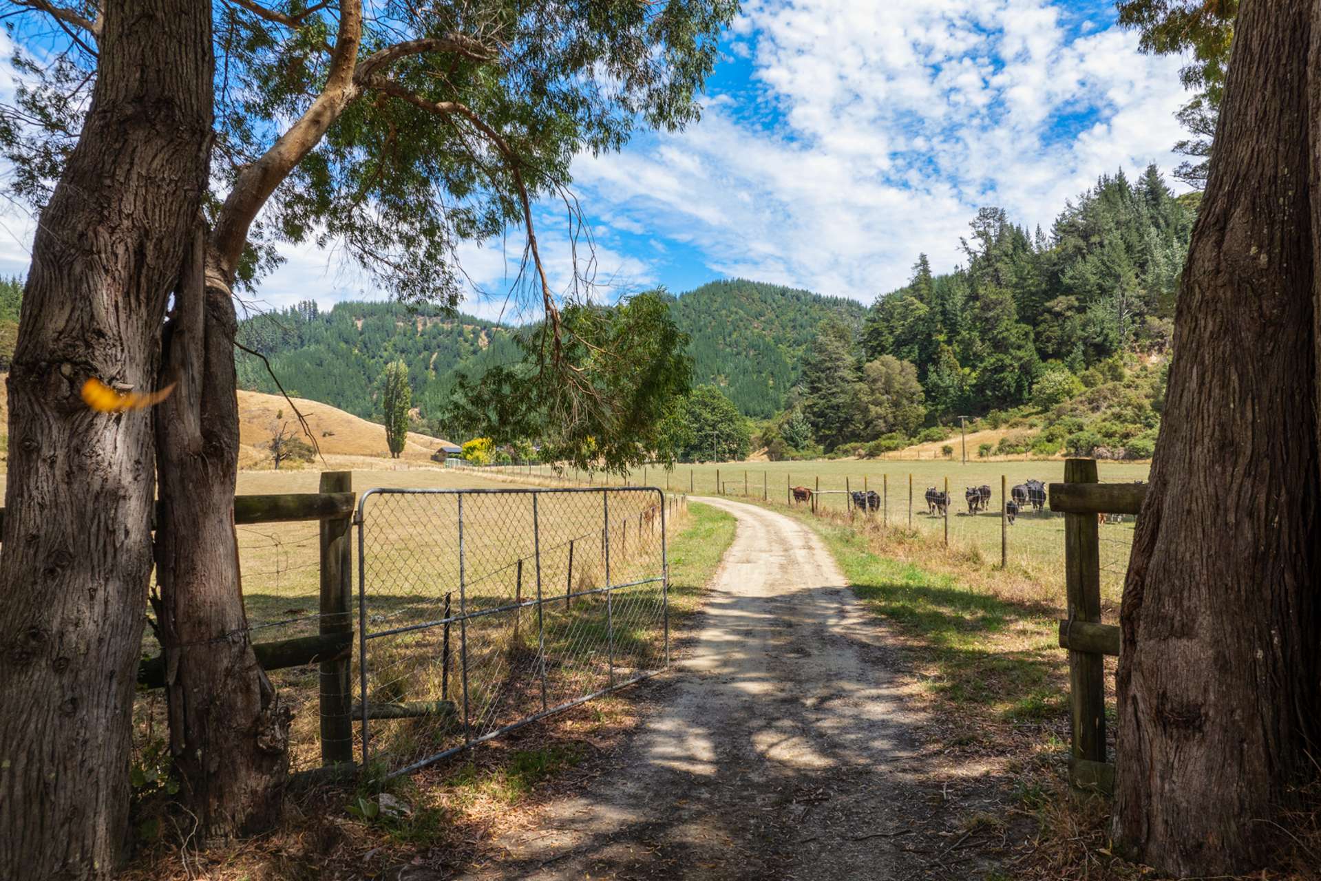 407 Onamalutu Road Wairau Valley_0