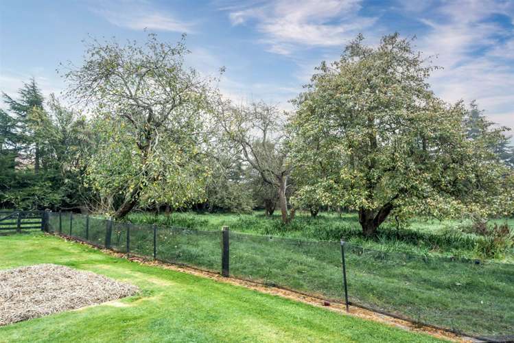 129 Feredays Road Leeston_32