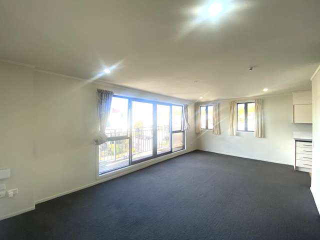 12/22 Normanby Road Mt Eden_4