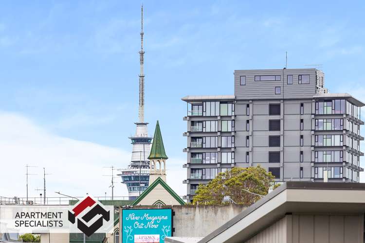 74 Harold Street Mount Eden_12