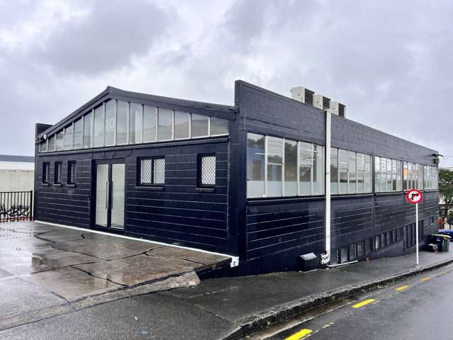 10 Burns Street Grey Lynn_2