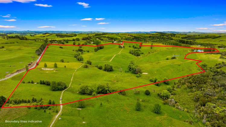 38 Rangiora Road Kaiwaka_32