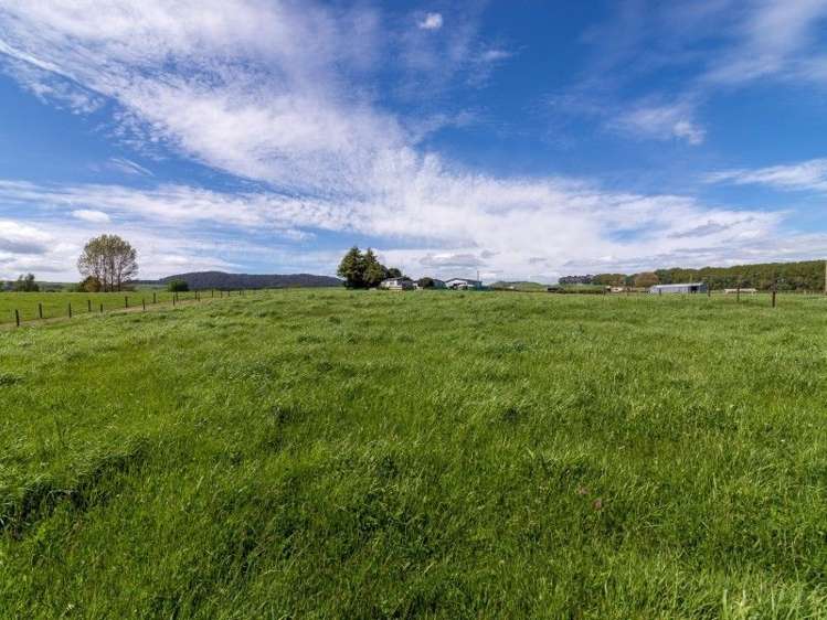 657 Corbett Road Ngakuru_18