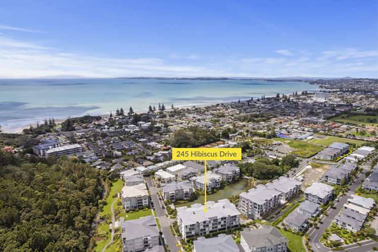 245 Hibiscus Drive Orewa_14
