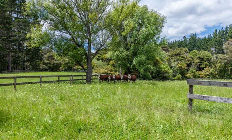 176a Boord Crescent Kumeu_15