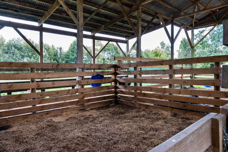 358 Dartmoor Road Puketapu_18