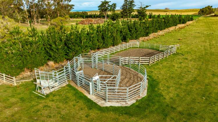 1553 Happy Valley Road Motunau_44