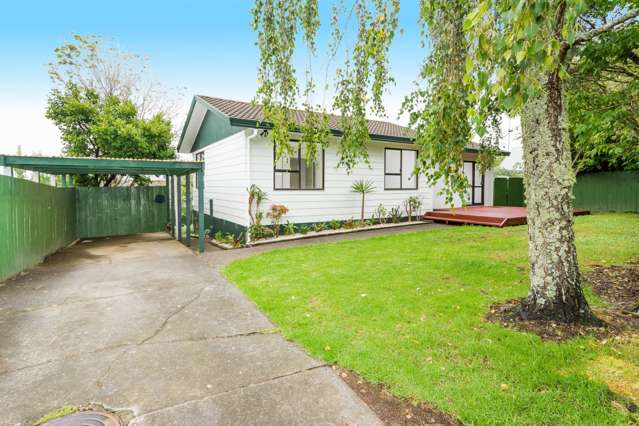 33 Rehia Road Massey_1