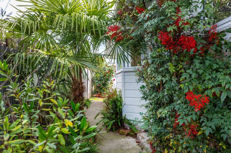 41b Cole Street Masterton_13