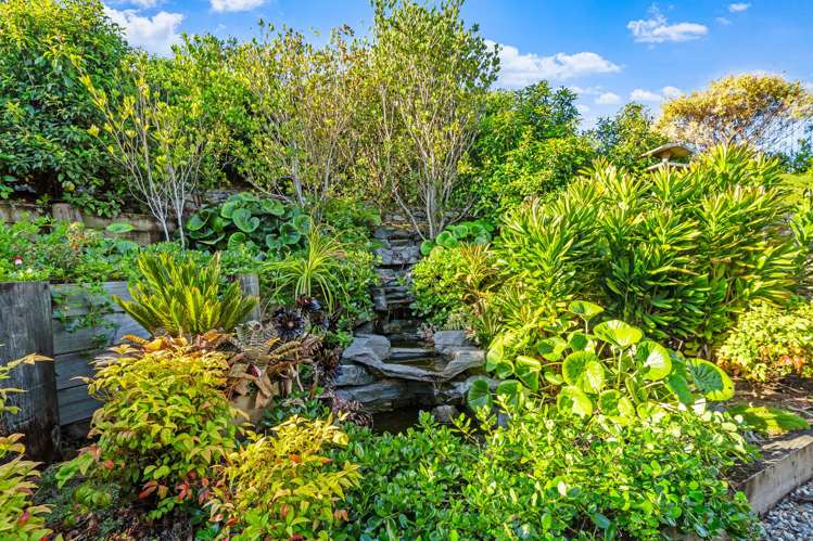 21 Laguna Place Matakatia_6