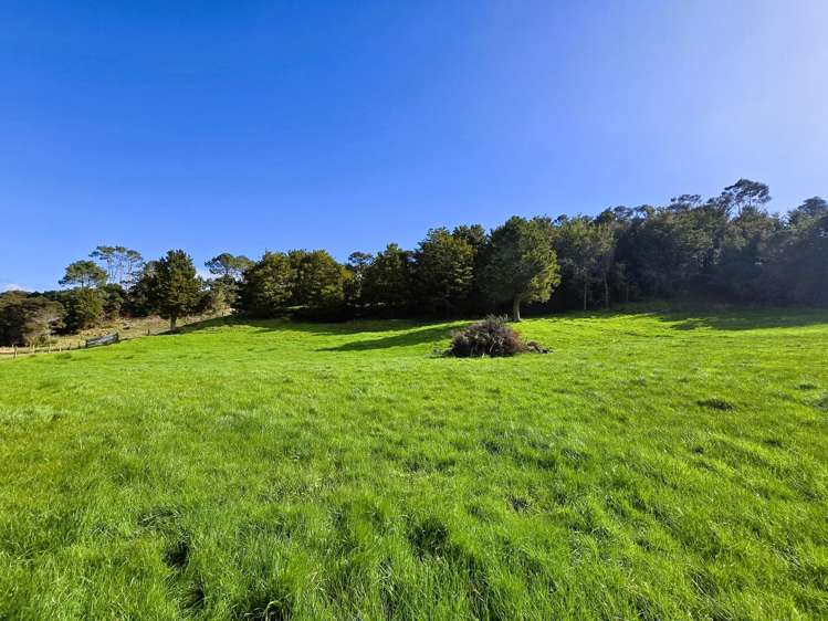 Whakahara Road Dargaville_13