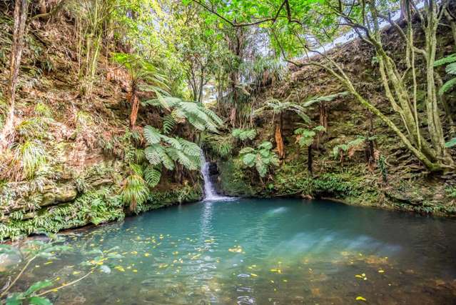 Incredible Hidden Oasis 3.5km from Town