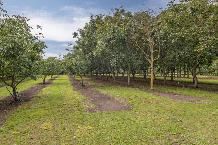 912 Tancreds Road Rolleston_26