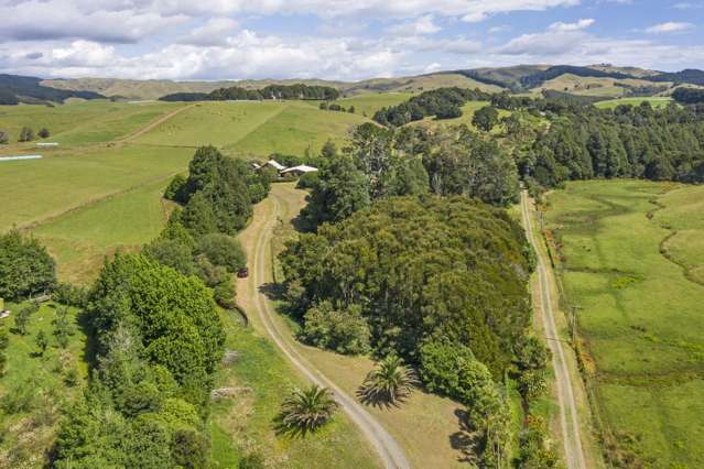 48 Pond Road Raglan_3