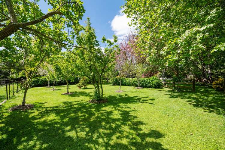 47D Poplar Lane Matangi_33
