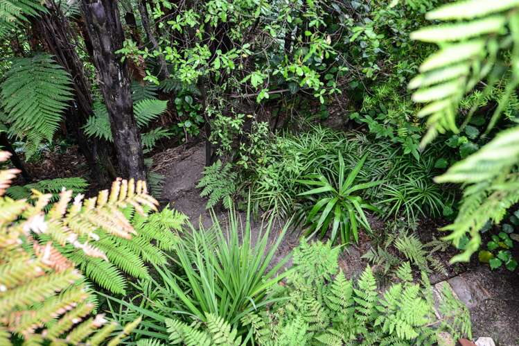 18a Mcnicol Street Fairfield_15