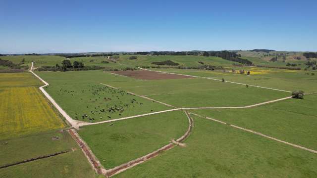 2611 Pouto Road Te Kopuru_3