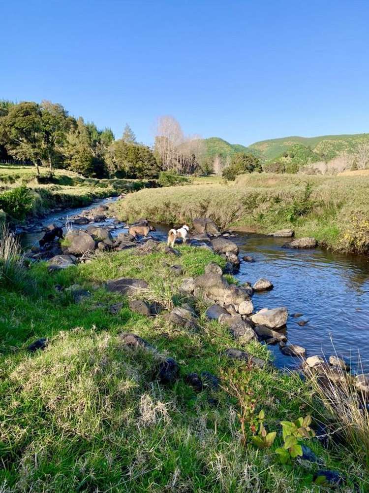 1819 Mataraua Road Kaikohe_29