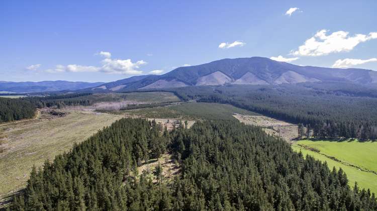 229 Mountain Road Okuku_5