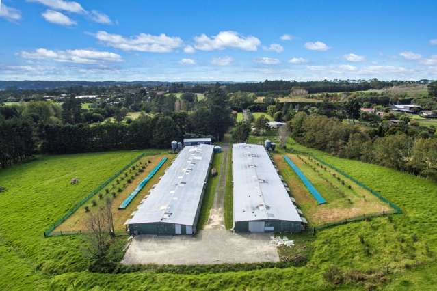 118 Motu Road Kumeu_2