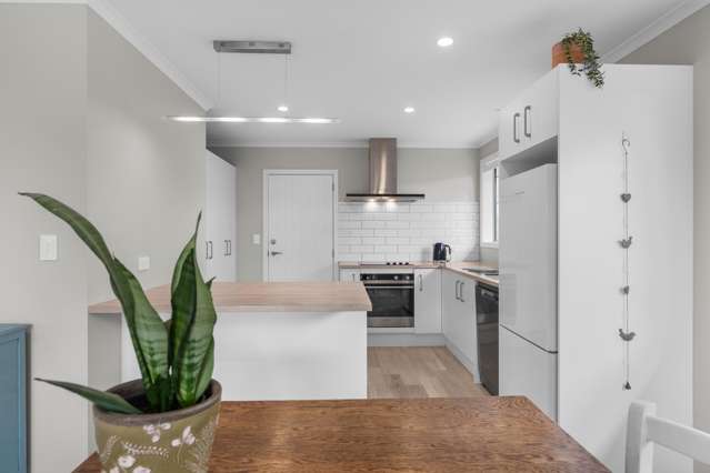 10 John McDonald Mews Masterton_1