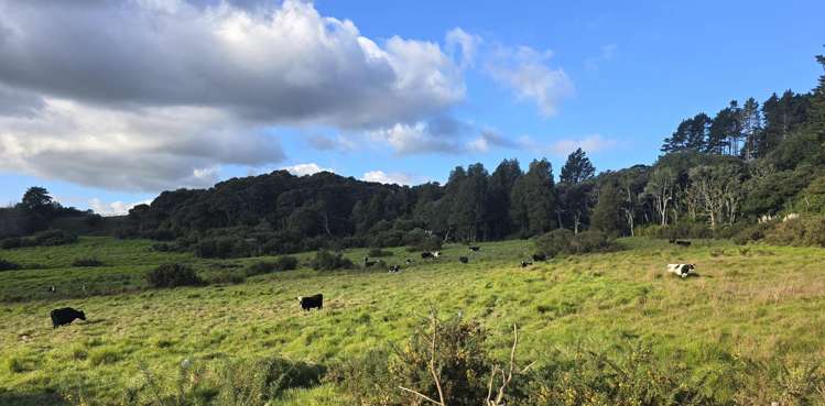 109 Hunua Road Drury_3