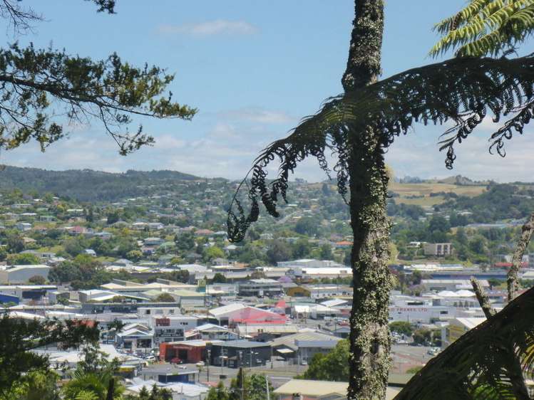 11 Punga Grove Avenue Riverside_0