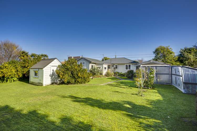 60 Napier Street Jervoistown_16