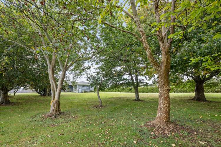 17 Galloway Road Karaka_30