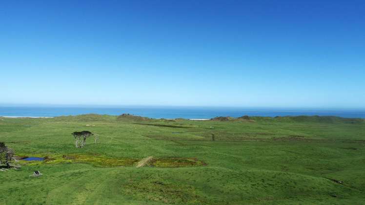 Sandhills Road Ahipara_1
